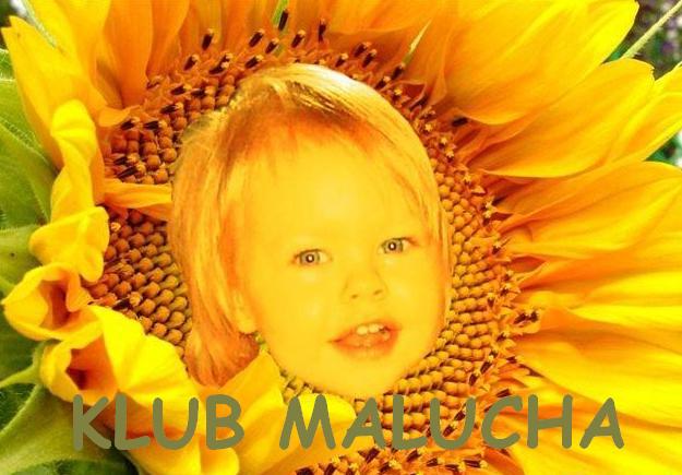 Klub Malucha